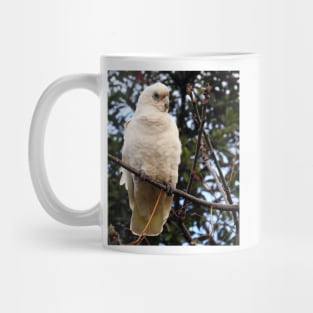 Little Corella Mug